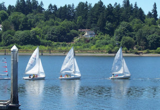 Sailboats on Budd Inlet