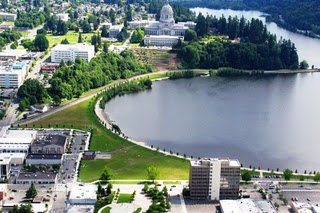 Capitol Lake Modern Aerial View