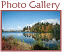 Photo Gallery